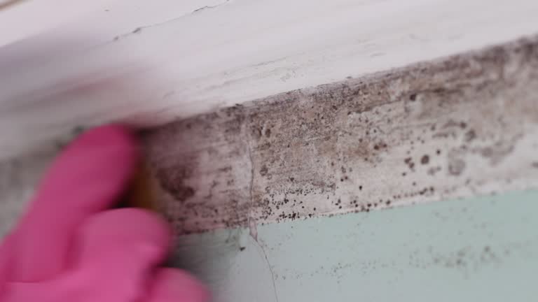 Mold Remediation for Rental Properties in Hilliard, OH